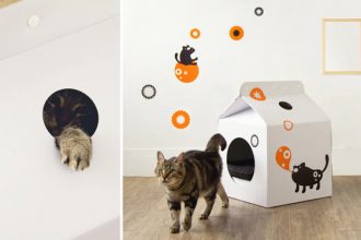 Ideas de casas para gatos con materiales reciclados | Muy sencillo