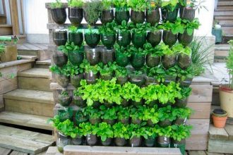 Tips Para Decorar El Jardin Con Botellas De Plastico Muy Sencillo